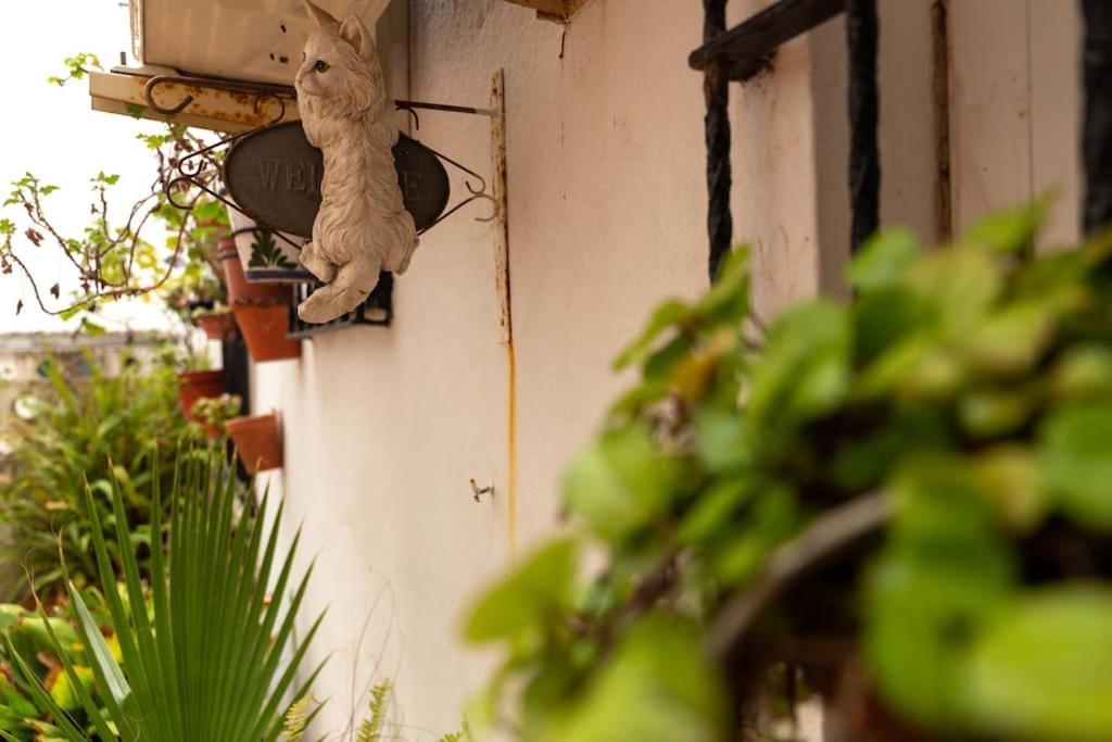 דירות קדיז El Patio De La Vina By Gades Gestion מראה חיצוני תמונה